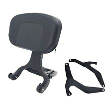 Multi-Purpose Backrest Sissy bar for BMW R18B R18 Bagger picture