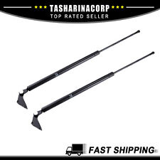 2pc Rear Tailgate Liftgate Hatch Lift Supports Gas Struts for Nissan Rogue 14-20 picture