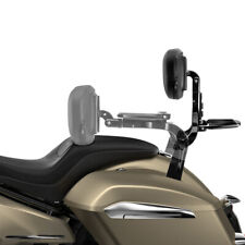 Multi-Purpose Backrest Sissy Bar For BMW R18 Bagger Transcontinental Roctane 20+ picture