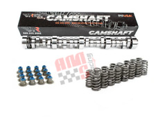 Brian Tooley Racing (BTR) NEW Stage 2 V2 LS Truck Cam Kit - 4.8/5.3/6.0 picture