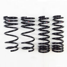 RS-R T197S2 -SuperDown Lowering Springs picture