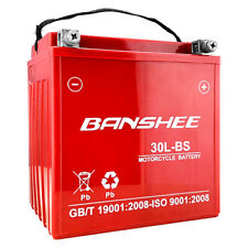 Banshee YTX30L-BS YIX30L-BS AGM Battery ForPowersports Atv/Utv & Harley Davidson picture