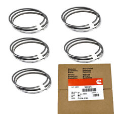 New 6x Standard Piston Rings 3802421 US  picture