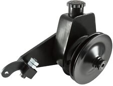 Borgeson 800335 P/S Pump Upgrade Ford y-Block, Includes Pump, Bracket and Pulley picture