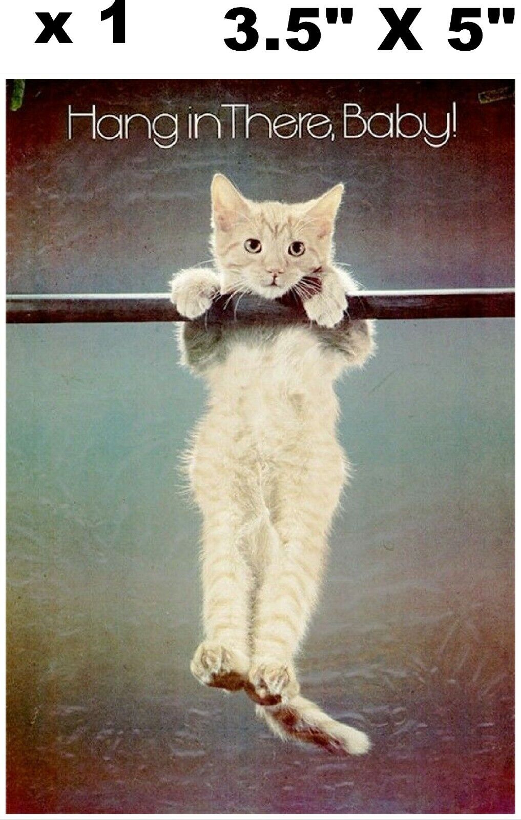 1970\'S Hang in There, Baby Cat Poster reprint Magnetic 3.5\