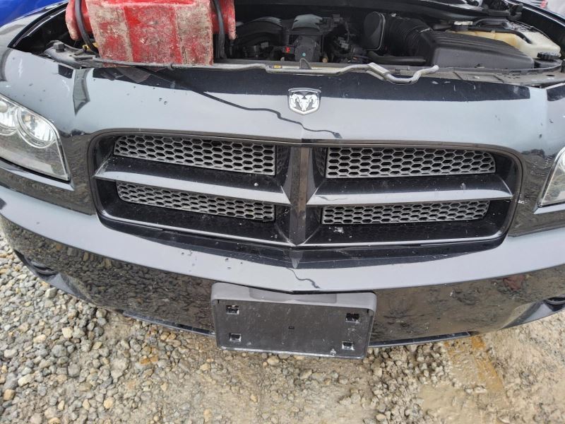 Grille Excluding SRT8 Painted Body Color Surround Fits 06-10 CHARGER 3156334