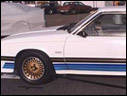 1984 Saleen Mustang